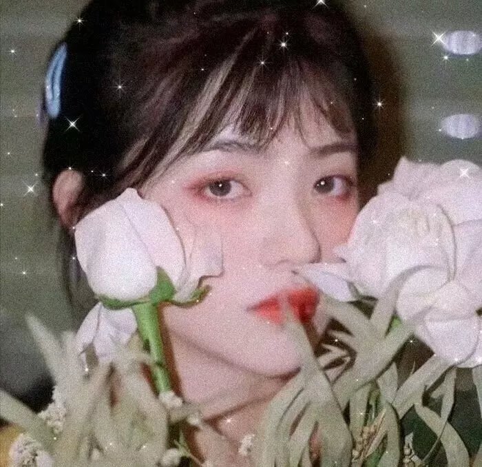一页的恋爱